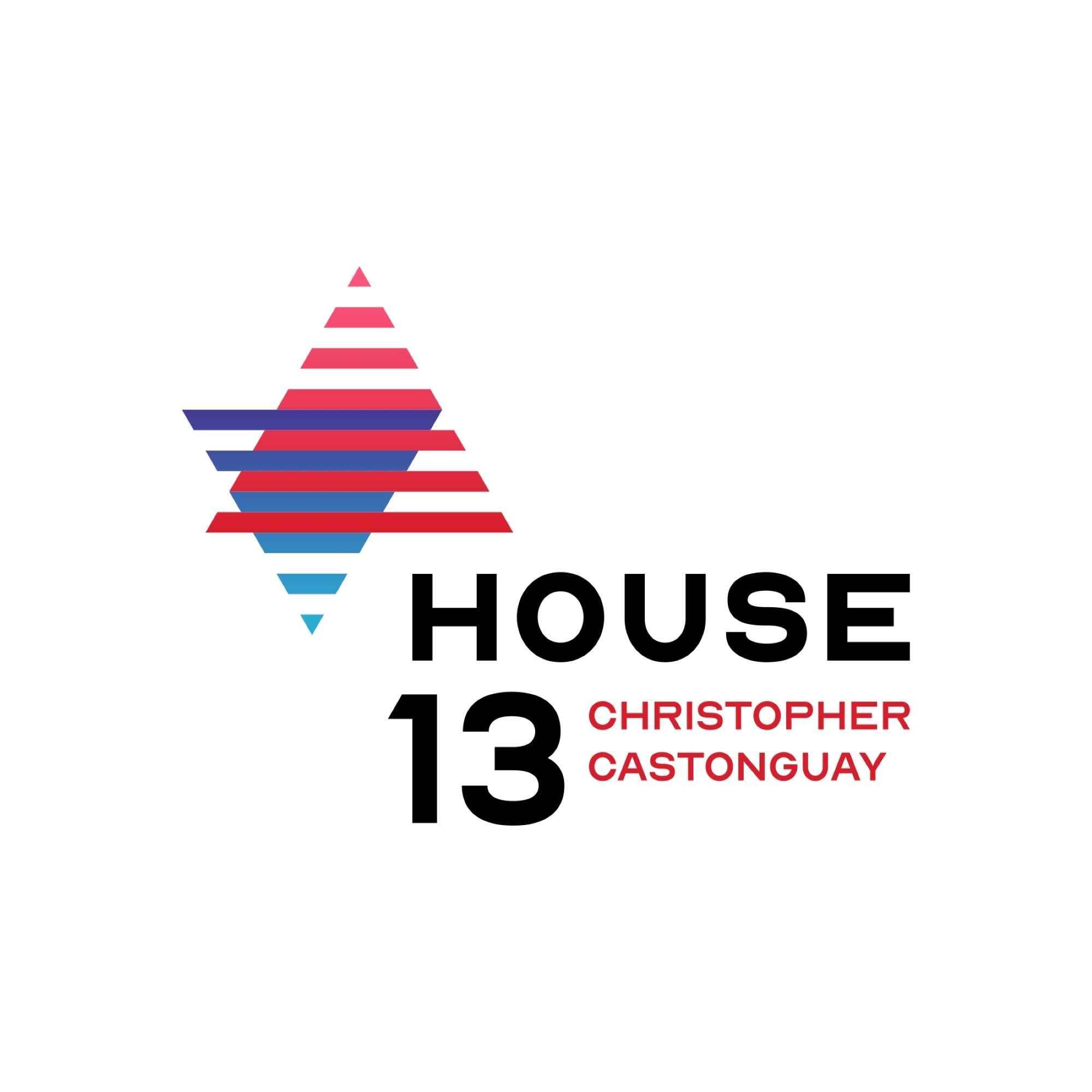 House 13 Book Cover